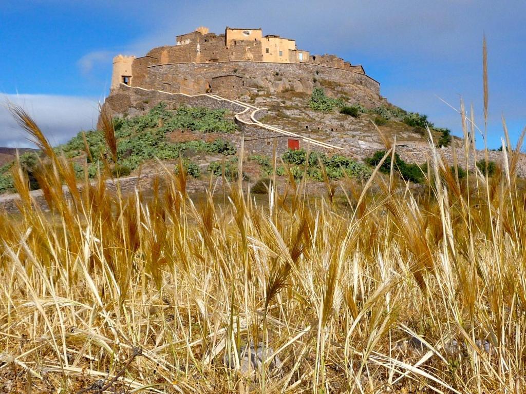 Отель Tizourgane Kasbah Tiguissas Экстерьер фото