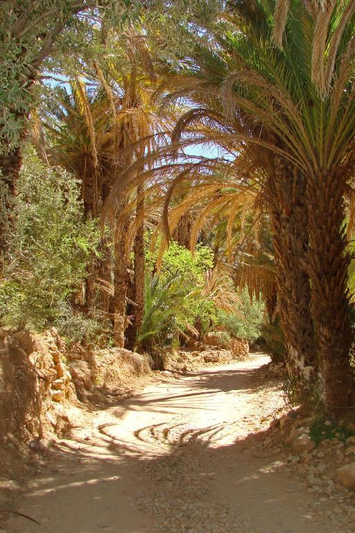Отель Tizourgane Kasbah Tiguissas Экстерьер фото